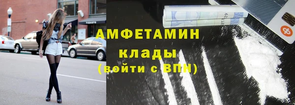 крисы Алексин